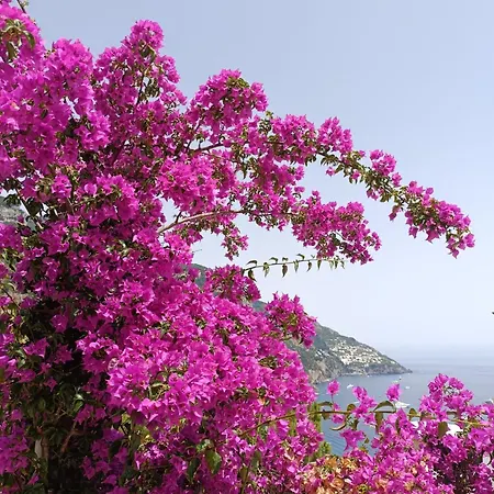 In Blue - La Terrazza Di Willa Positano